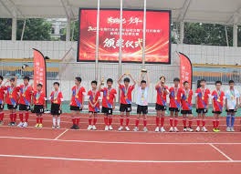 2026年世界杯瑞士与卡塔尔精彩对决预测与分析